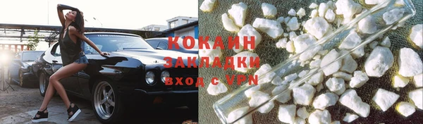 сатива Каменка