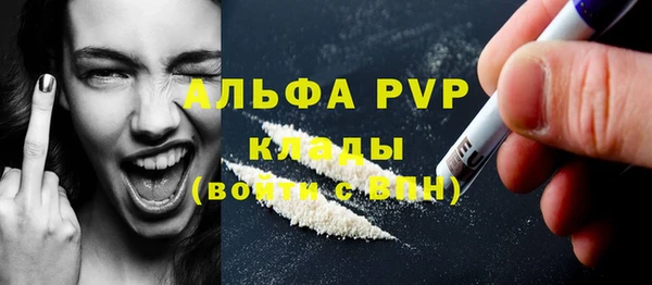 стафф Каменск-Шахтинский