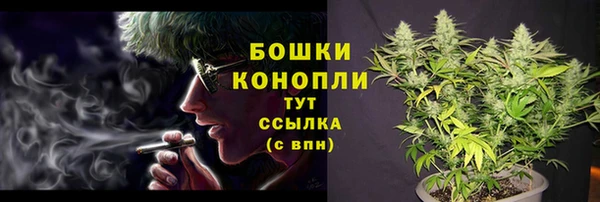 сатива Каменка