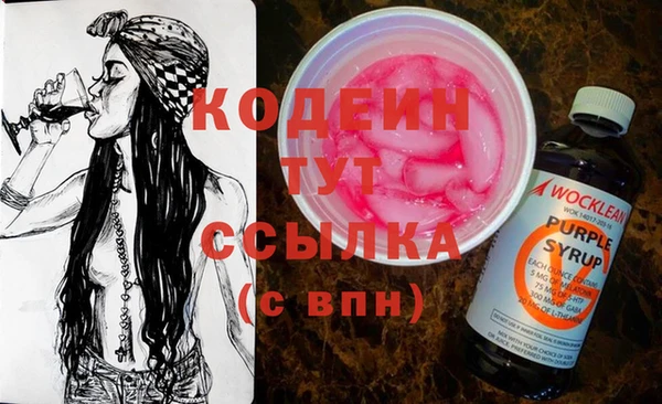 гашик Каменногорск