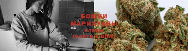 стафф Каменск-Шахтинский