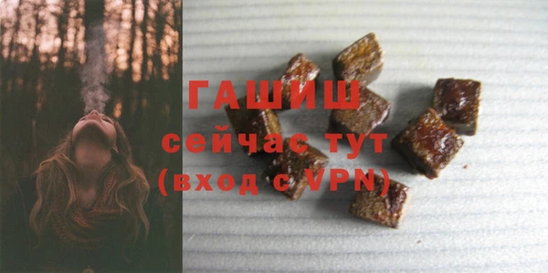 гашик Каменногорск
