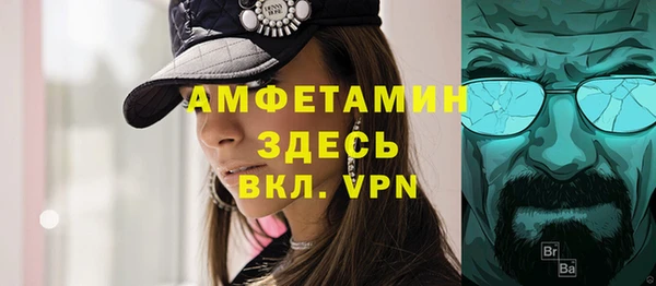 сатива Каменка