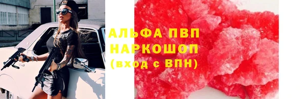 гашик Каменногорск