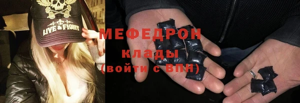 сатива Каменка