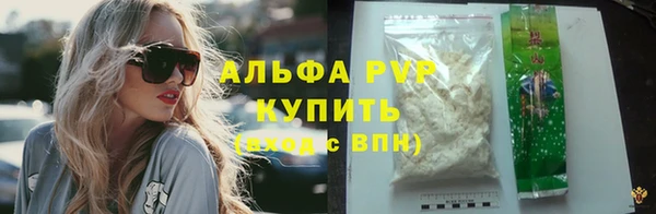стафф Каменск-Шахтинский