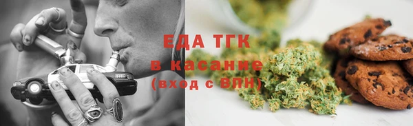 сатива Каменка