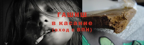 сатива Каменка