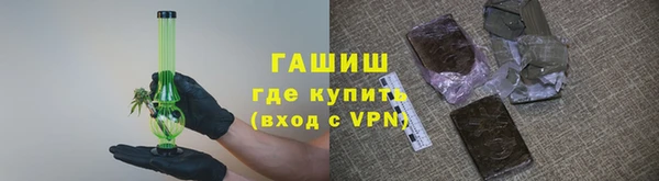сатива Каменка