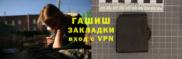 сатива Каменка