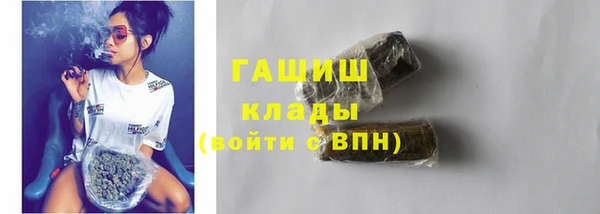 сатива Каменка