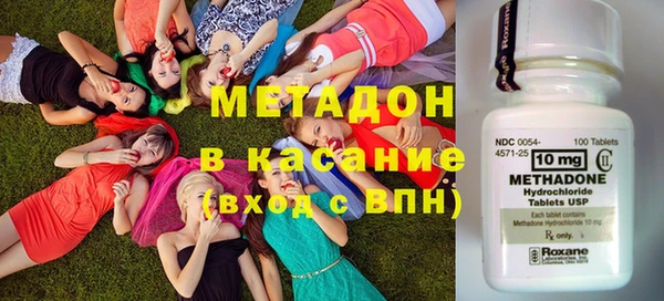 сатива Каменка