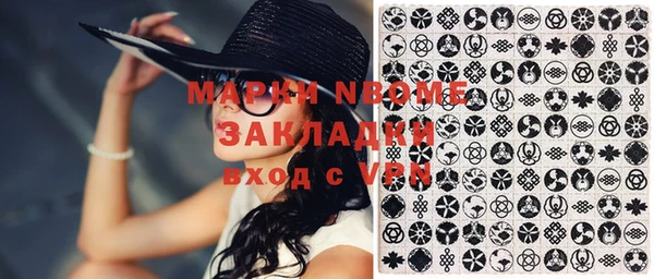 сатива Каменка