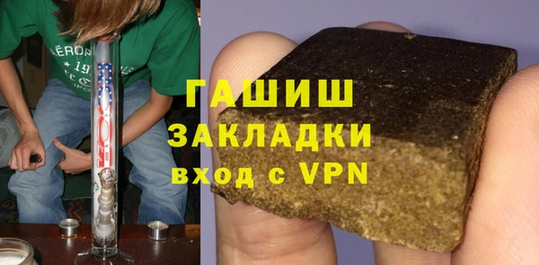 сатива Каменка