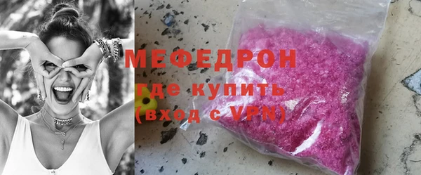 сатива Каменка