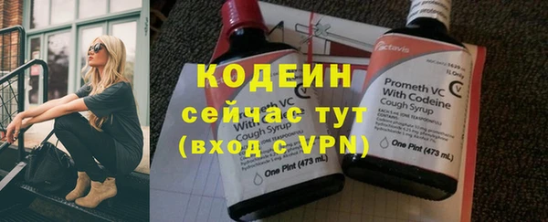 гашик Каменногорск
