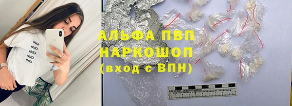 стафф Каменск-Шахтинский