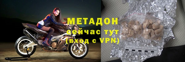 сатива Каменка