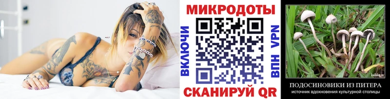 Купить  Карабаш  Псилоцибиновые грибы прущие грибы 